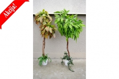 101 veštačko drveće